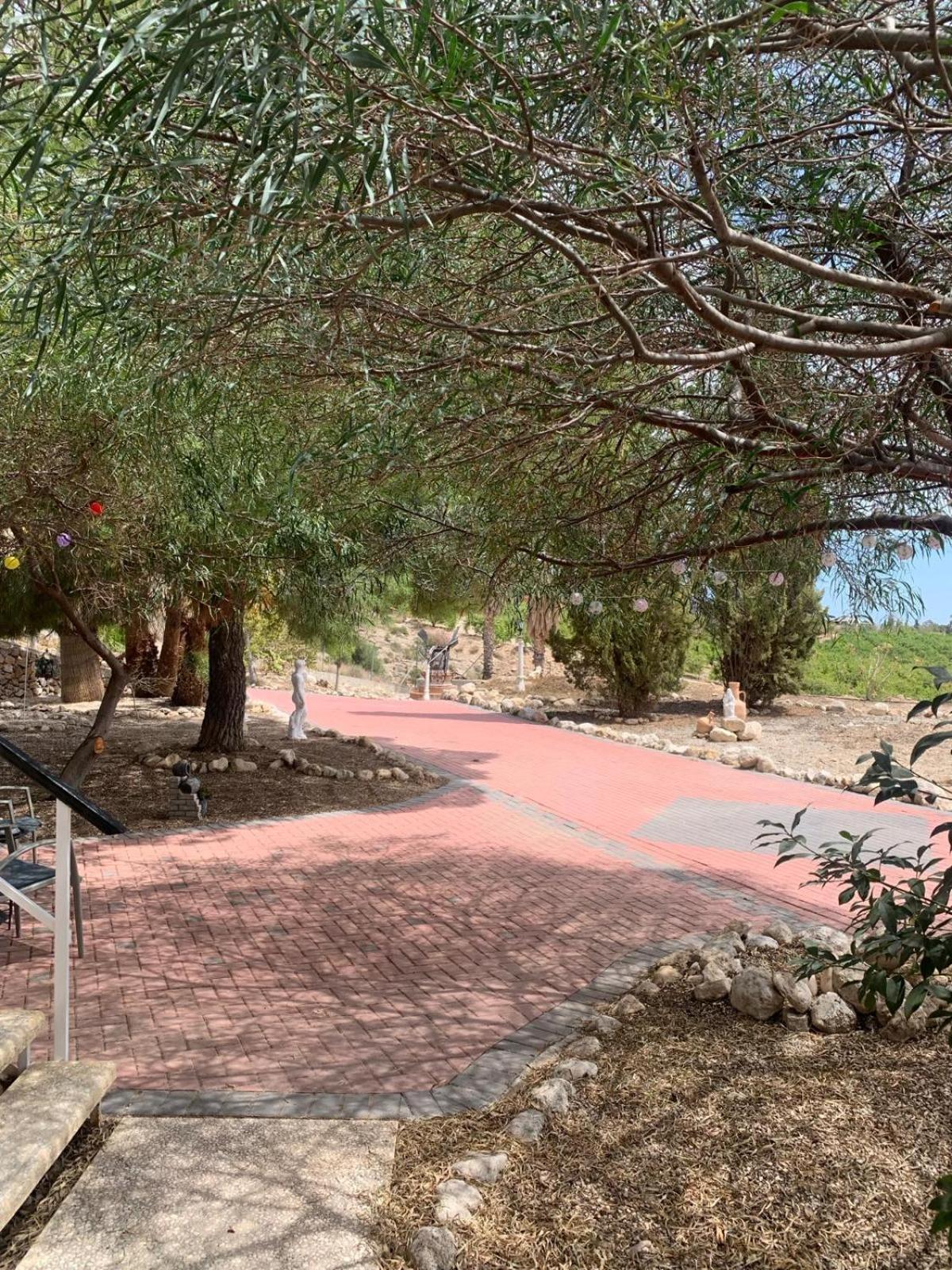 דירות פורטונה Casa Pajarera מראה חיצוני תמונה